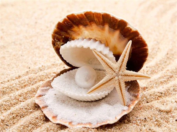 Aperçu du résultat final du diamond painting Beach Shell Series L.