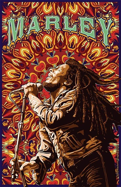 Aperçu du résultat final du diamond painting Bob Marley Psychédélique.