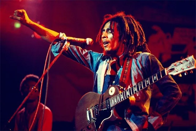 Aperçu du résultat final du diamond painting Bob Marley en Concert.