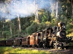 Aperçu du résultat final Treno a Vapore nella Foresta Verdeggiante.