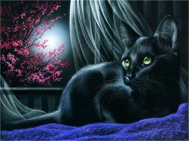 Aperçu du résultat final Chat Noir aux Yeux de Jade.