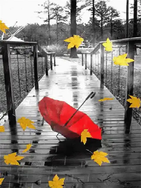 Aperçu du résultat final Ombrello Rosso sotto la Pioggia Autunnale.