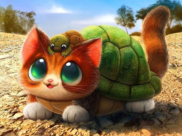 Aperçu du résultat final Chaton Tortue Aventurier.