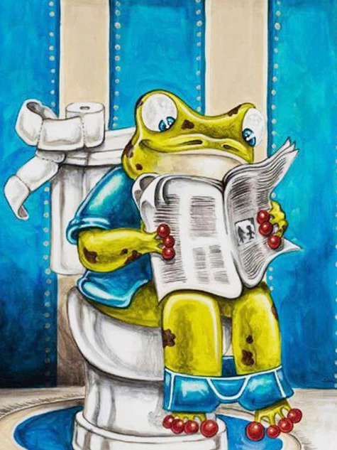 Aperçu du résultat final Humorous Toilet Frog.