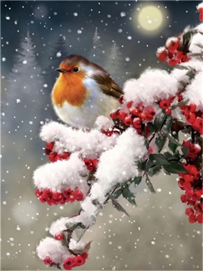 Aperçu du résultat final Pettirosso sotto la Neve Invernale.