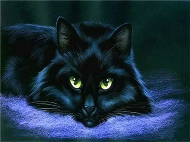 Aperçu du résultat final Chat Noir aux Yeux de Jade sur un Lit Violet.