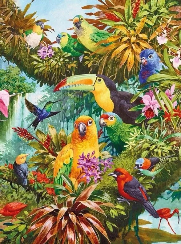 Aperçu du résultat final Paradiso Tropicale: Uccelli Esotici e Cascata.