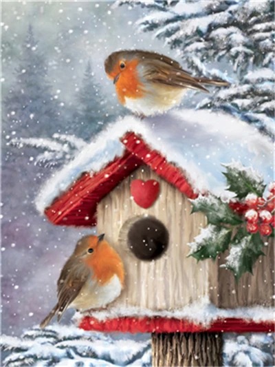 Aperçu du résultat final Robins in the Snow: Winter Bird Feeder.