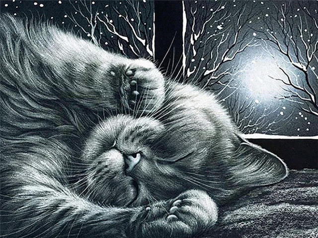 Aperçu du résultat final Sleeping fluffy cat under the winter moon.