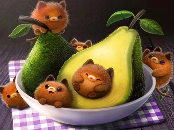 Aperçu du résultat final Gourmet Kittens with Avocado.