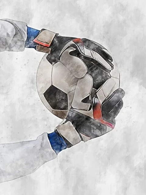 Aperçu du résultat final Beslissende Redding: Keepershanden en Voetbal.