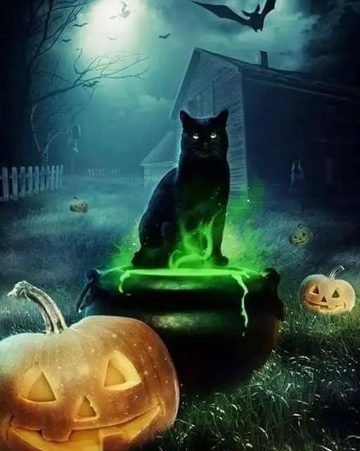 Aperçu du résultat final Chat Noir des Nuits d'Halloween.