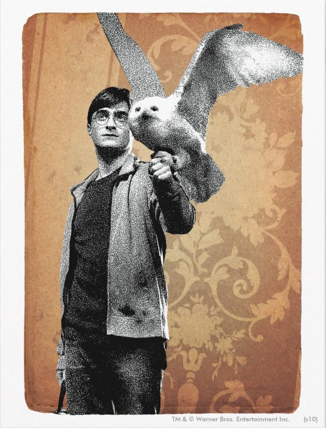 Aperçu du résultat final Harry Potter and Hedwig on Enchanted Parchment.