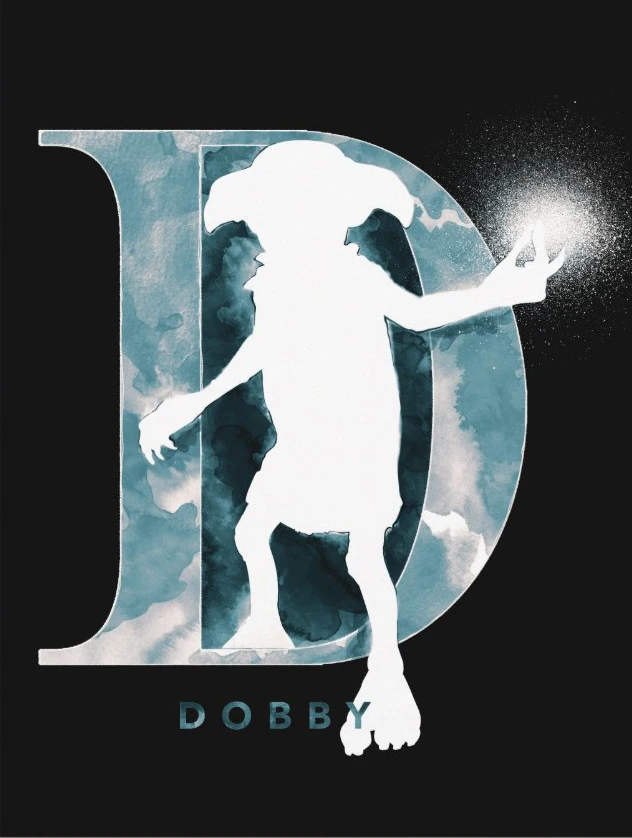Aperçu du résultat final Dobby and the Magic Letter D.