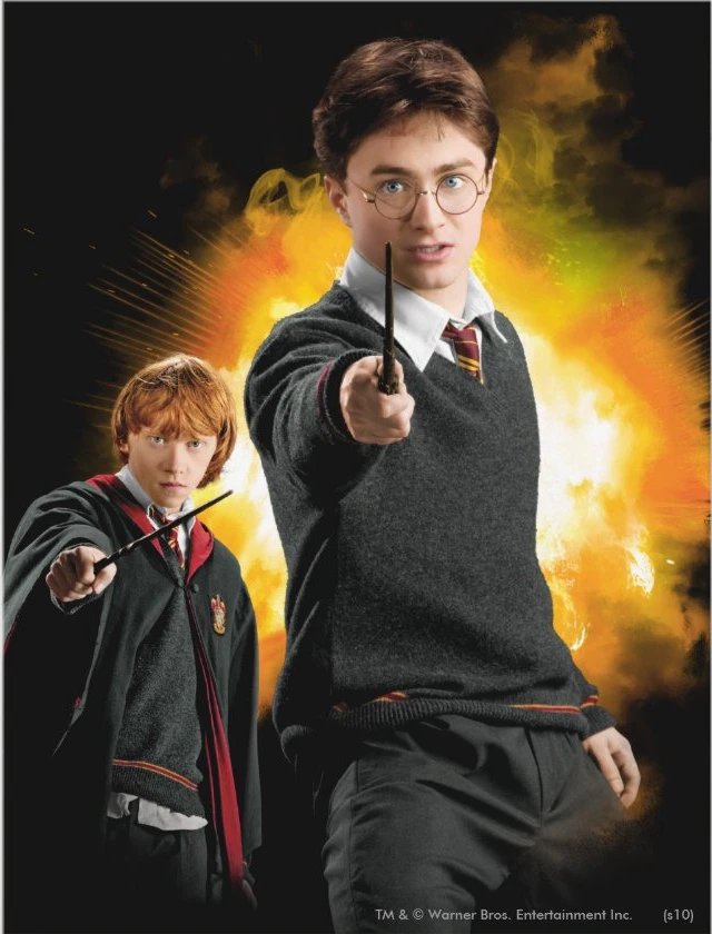 Aperçu du résultat final Harry and Ron: Explosive Magical Duo.