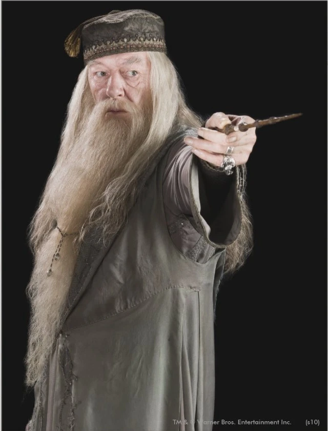 Aperçu du résultat final Albus Dumbledore, Portrait of the Hogwarts Headmaster.