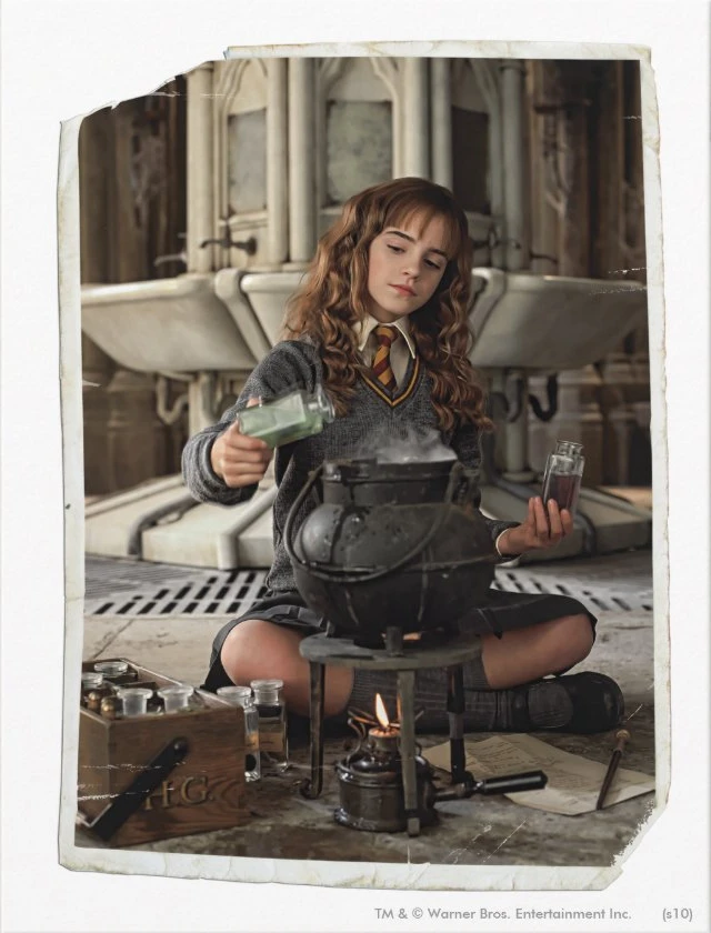 Aperçu du résultat final Hermione Granger and the Potion of Secrets.